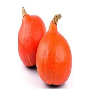 Courge Potimarron bio +/- 1kg