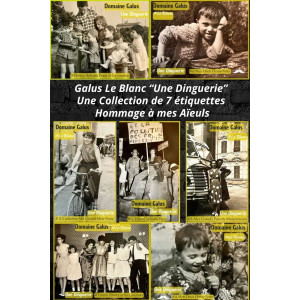 Cuvée Une Dinguerie I.G.P...