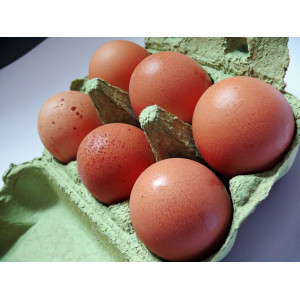 Oeufs extra frais bio