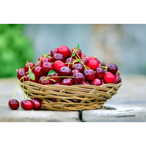 Cerises bio