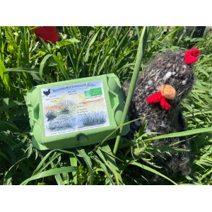 Oeufs extra frais bio