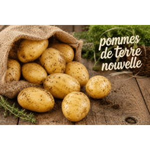 Pommes de terre primeur bio