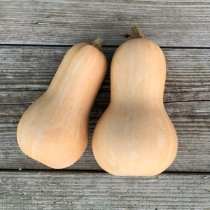 Courge Butternut bio 500g