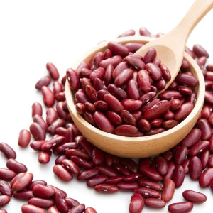 Haricots secs rouges bio