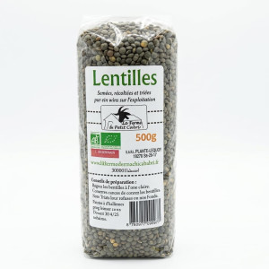Lentilles sèches vertes bio
