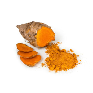 Curcuma bio