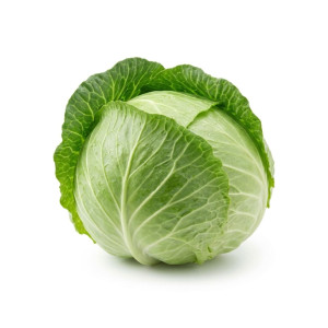 Chou vert lisse bio