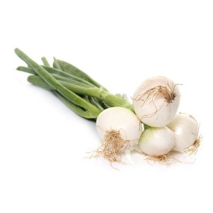 Oignons botte nouveaux bio