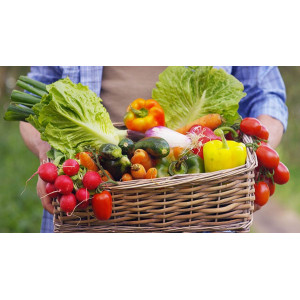 Panier fidélité x15 points