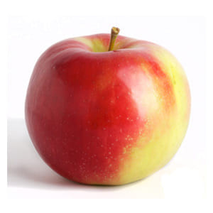 Pommes Elstar bio