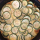 Frittata aux courgettes bio